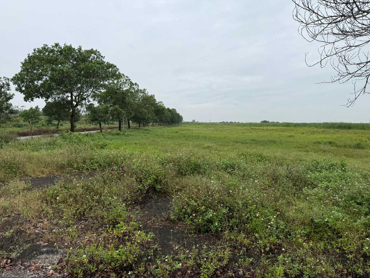 Cơ Hội Vàng: Chuyển Nhượng 1.3ha Đất Cụm Công Nghiệp Quỳnh Côi (Thái Bình) – Hạ Tầng Sẵn Sàng, Pháp Lý Sạch, Xây Dựng Ngay!