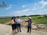 Chuyển nhượng 8ha đất KCN Thuận Thành 3 | Hạ tầng hoàn thiện, bàn giao ngay | Giá $148/m2