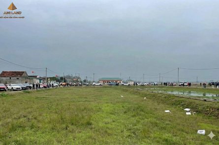 Nghệ An: Ô tô nối đuôi nhau về làng "săn" đất sau tin đồn quy hoạch KCN VSIP 4