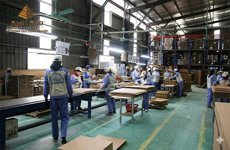 Tuyên Quang: Phát triển Cụm công nghiệp, giải quyết việc làm tại quê nhà