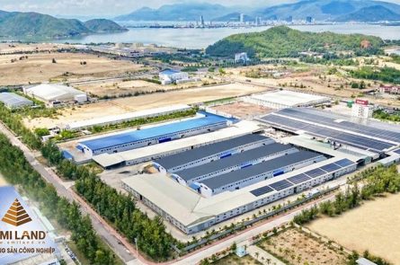 Gia Lai phê duyệt KCN Cát Trinh hơn 2.500 tỷ: Đòn bẩy cho công nghiệp chế biến