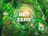 Cuộc Đua "Net Zero" Và Sức Ép Tái Định Nghĩa Hạ Tầng Khu Công Nghiệp Thế Hệ Mới