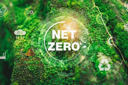 Cuộc Đua "Net Zero" Và Sức Ép Tái Định Nghĩa Hạ Tầng Khu Công Nghiệp Thế Hệ Mới