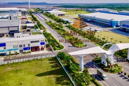 Chuyển nhượng đất KCN Hải Phòng