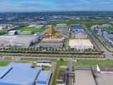 Lấn Sân BĐS Công Nghiệp: Nhà Sản Xuất Đồ Chơi Gỗ Nam Hoa (NHT) Thành Lập Công Ty Con, Quyết Tâm "Đổi Trục" Dòng Tiền