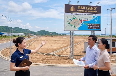 Chuyển nhượng đất KCN Quảng Ninh