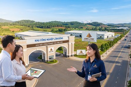 Dịch vụ chuyển nhượng đất khu công nghiệp tại Lâm Đồng giá tốt