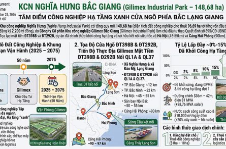 KCN Nghĩa Hưng Lạng Giang: Vị Trí Chiến Lược, Hạ Tầng Gilimex 148ha
